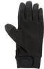 Gants d'hiver Puma Teamliga 21 noirs Voir les images du produit 11