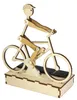 SOL-EXPERT Bausatz, Solar Radler / E-Biker, Holzbausatz zum Produktbild-Vorschau 2
