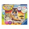 Ravensburger 28553 Ravensburger Malen-nach-Zahlen Voir les images du produit 4