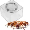 Ant Expert New Land - Modulo Arena per il formicarium Ant Anteprima dell’immagine prodotto 6
