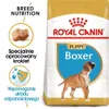 Royal Canin Boxer Junior, Welpe, Boxer, Groß (26-44 kg), Produktbild-Vorschau 2