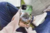 MuchoWow® Handyhülle Schutzhülle Hülle für iPhone 12 Koala Produktbild-Vorschau 3