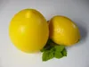 Contenitore per limoni Ibili, plastica, 9x11 cm, giallo Anteprima dell’immagine prodotto 4