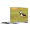 MuchoWow® Laptop Aufkleber Sticker Cover Vogel - Gras - Produktbild-Vorschau 1
