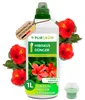 Purgrün Hibiskus-Dünger 1 Liter Produktbild-Vorschau 1