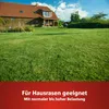 Wolf Garten LG 250 Rasen Saatgut Sport & Spiel 5 kg Produktbild-Vorschau 3