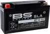 BS Battery Werksseitig aktivierte wartungsfreie Produktbild-Vorschau 4