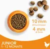 IAMS Cat Kitten Chicken 10 kg Voir les images du produit 5