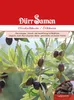 Olivenbaum | Olivenbaumsamen von Dürr Samen Produktbild-Vorschau 1