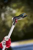 FELCO 290 Hochentaster Produktbild-Vorschau 11