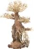 Dupla Bonsai L - handgefertigte Dekoration für Aquarien Produktbild-Vorschau 3