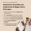 Amerikanische Rotulmenrinde für Hunde & Katze – Ohne Kochen Produktbild-Vorschau 3