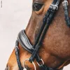 Schockemöhle Sports Anatomical Snaffle Malibu Snaffle Anteprima dell’immagine prodotto 5