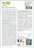 SAFLAX  -- Chou - Romanesco - 50 graines - Avec substrat - Voir les images du produit 3