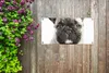 MuchoWow® 60x30 cm Outdoor-Poster Gartendeko Sichtschutz Produktbild-Vorschau 5