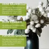 GROW2GO Baumwoll-Pflanzset ideal zur Baumwollhochzeit - Produktbild-Vorschau 5