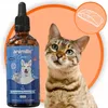 Animille Lachsöl 100ml für Katzen kaltgepresst norwegisch Produktbild-Vorschau 1