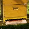 5 Stück Bienen Fluglochverkleinerer mit Scharnieren im Set Produktbild-Vorschau 2