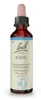 Bachblüten Beech Tropfen 20 ml Produktbild-Vorschau 3
