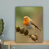 MuchoWow® - Leinwandbilder - Vogel - Rotkehlchen - Produktbild-Vorschau 4