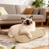 Jouet à mâcher et à griffer pour chats avec cataire, en Voir les images du produit 8