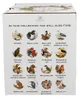 DUO World of Birds Kubek 400 ml THE EURASIAN BULLFINCH (gil Podgląd zdjęcia produktu 5