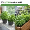 Kräutersamen Set - 10 Sorten Samen - Saatgut Sortiment - Produktbild-Vorschau 7