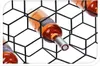 Excellent Houseware Portabottiglie per 11 bottiglie, Anteprima dell’immagine prodotto 3