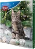 A cat is sitting on a Christmas tree-themed advent calendar. Produktbild-Vorschau