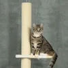 Tiragraffi PawHut, tiragraffi per gatti a tutta altezza, Anteprima dell’immagine prodotto 8