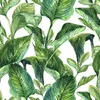 Coloray Fototapete 152x104 cm An Einer Wand Latex Produktbild-Vorschau 2