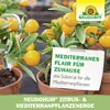 Neudorff NeudoHum Zitrus- & MediterranpflanzenErde 20L Produktbild-Vorschau 6