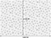 A diagram showing the dimensions of a tablecloth with snowflake patterns. Náhľad obrázku produktu