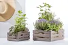 Two wooden crates filled with herbs and plants, with a straw hat hanging in the background. Produktbild-Vorschau