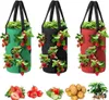 Grow Bags 3 Gallonen für Erdbeeren Gemüse 12 Pflanzlöcher, Produktbild-Vorschau 1