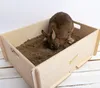 Bunny Nature 17018, Kaninchen, Grabungskiste, Holz, Holz, Produktbild-Vorschau 3