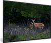 MuchoWow® MuchoWow® Gerahmtes Poster Hirsche - Blumen - Produktbild-Vorschau 1