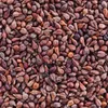 Semi d'uva Sciolto Granuli Grano per Cuscini Naturali Anteprima dell’immagine prodotto 2