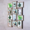 A collage of picture frames filled with images of houseplants, displayed on a textured wall. Produktbild-Vorschau