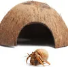 Terrario CocoCave L - cocco mezzo liscio Terrario Anteprima dell’immagine prodotto 4
