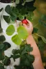 Artikelbild 4 von 'SISSI STRAWBERRY Erdbeerturm starter weiß (4 Etagen)' Náhled obrázku produktu