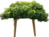 GeckoWall "RIO" | Premium Dschungel Farn Pflanzenwand | Produktbild-Vorschau 4