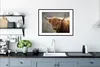 MuchoWow® Gerahmtes Poster Schottischer Highlander - Hörner Produktbild-Vorschau 4