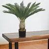 Palmier Palma cycas Plante Artificielle Artificiel 80 cm Anteprima dell’immagine prodotto 5