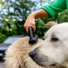 A person is using a grooming tool on a dog outdoors. Produktbild-Vorschau