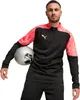 Puma Individualfinal Ff. 14 Zip-top 65926257 Herren Produktbild-Vorschau 1