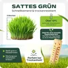 halmland Premium Schattenrasen Samen schnellkeimend 10kg = Produktbild-Vorschau 3