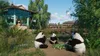 Planet Zoo: Console Edition (PS5) Produktbild-Vorschau 5