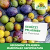 Neudorff Neudomon PflaumenmadenFalle Nachfüllpack 1 Stk. Produktbild-Vorschau 6