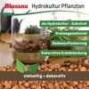 Blusana Blähton Hydrokultur & Drainage Tongranulat Produktbild-Vorschau 6